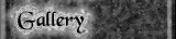 A gallery of photos from past Necronomicons Gallery